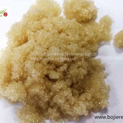 Bilirubin Adsorption Resin