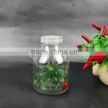 Tissue culture vessels jar with plastic cap