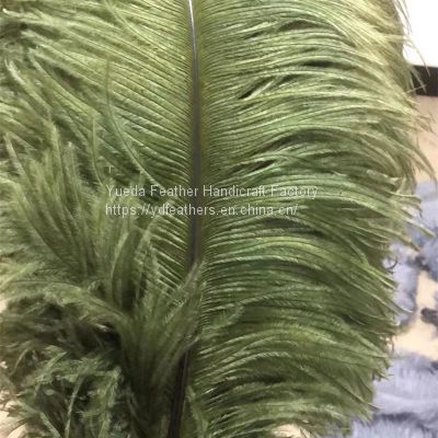 Ostrich Feather/Plume Dyed Colour For Wholesale From China