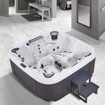 JOYSPA PIKES Luxury Imported Acrylic Factory Indoor Outdoor Swim Spa Balboa Massage Bathtub photo-6