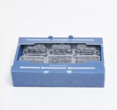 Wholesale Corrugated PP Plastic Fruit & Vegetable Crates – Custom Packaging Box Factory photo-2