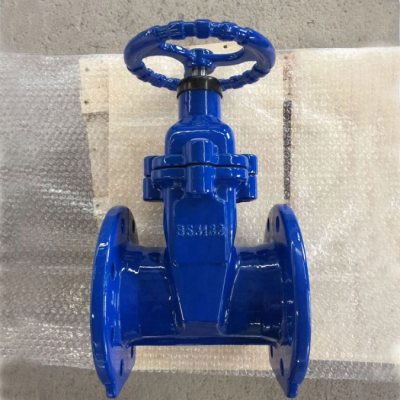 Ductile Iron Ggg50 PN16 Manual DIN F4/F5 OS&Y Resilient Seated Metal/Soft Seal Gate Valve Sluice Gate Valve