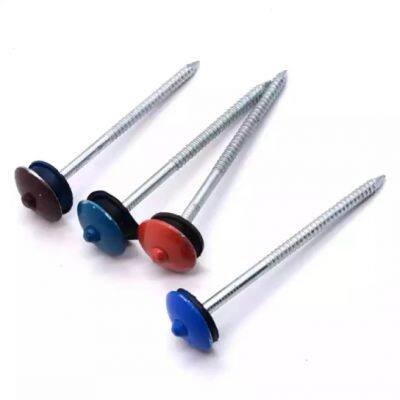 Umbrella Head Roofing Nails With Twist Shank - Custom Packaging