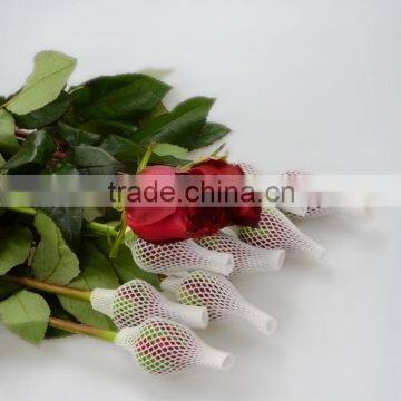 Alibaba china Crazy Selling china fresh black magic rose flower