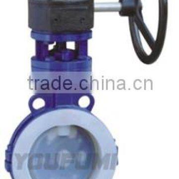 FEP Lined Wafer Worm Gear Butterfly Valve