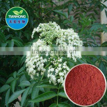 Natural Elderberry Extract of high quality Anthocyanin