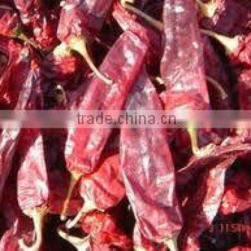 Red Chilli