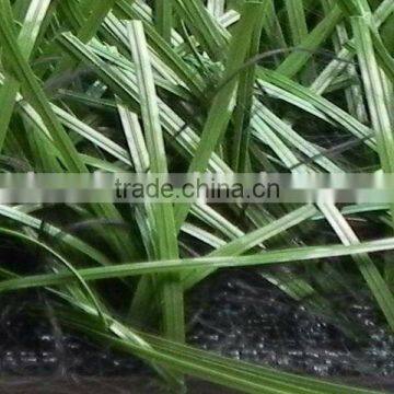 Football or soccer Artificial Grass/Artificial Turf
