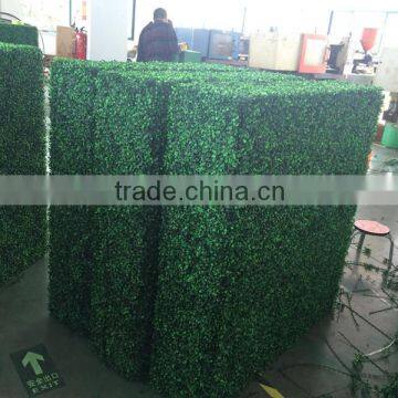 PE Plastic Green Wall Artificial Garden Boxwood Hedge for Residencial Quality Choice photo-2