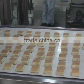 Full Automatic Sandwich Cake Product Line