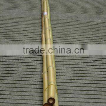 Bamboo pole Sun-020