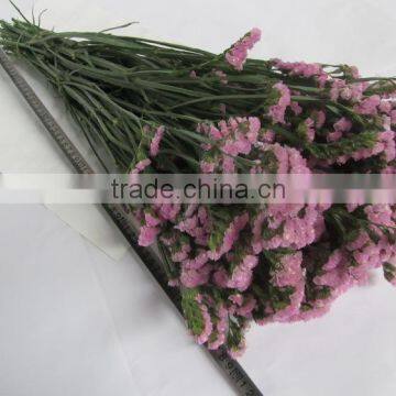 Fresh Classical High-grade Fresh Myosotis Flowers photo-5