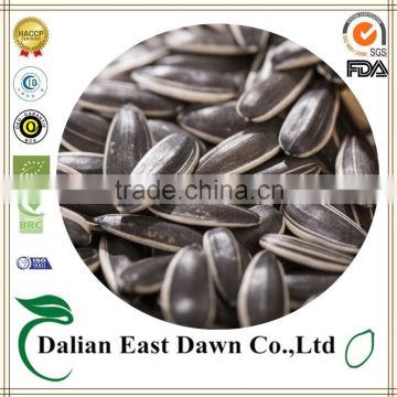 Seeds sunflower seeds Type 5009 sunflower seeds