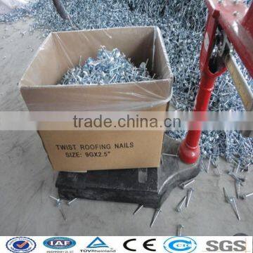 Umbrella Head Roofing Nail(Factory)