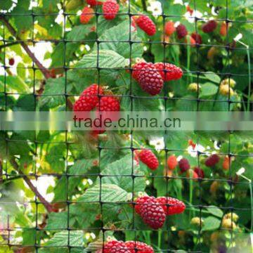 Black Extruded Plastic Mesh Agricultural Bird Netting For Vineyard,Apple Trees,Strawberry Garden And Other Agricultural Area