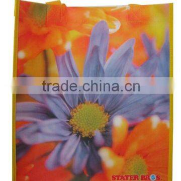 PP non woven laminated bag