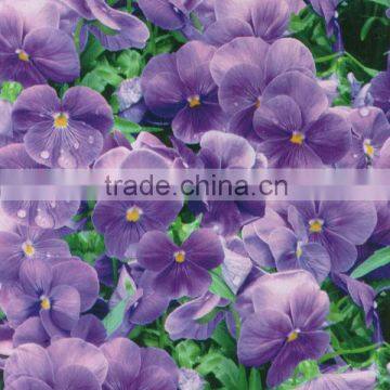 RD039 Camo Water Transfer Printing Film photo-5