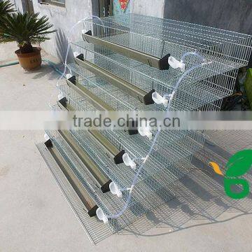 A Type Manufacture Cheap Advanced Quail Cages for 20000 Quails photo-2