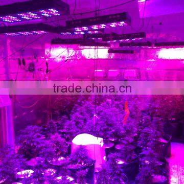 Hydroponic LED Grow Light 1200W For Distribution photo-5
