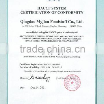 Dry Cat Food Salmon in Bone Shape MJC48 Pet Food Cat Treats photo-6