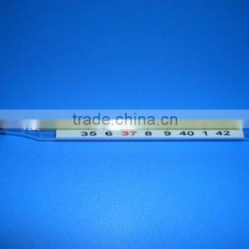 Enclosed scale clinical thermometer