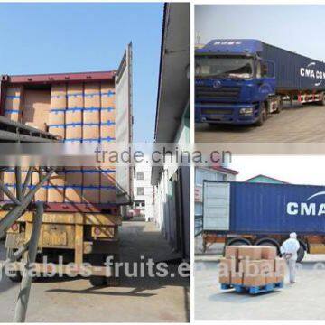 New Crop Dehydrated Horeradish Granules