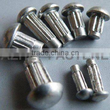 zhejiang factory rivets for rame plates