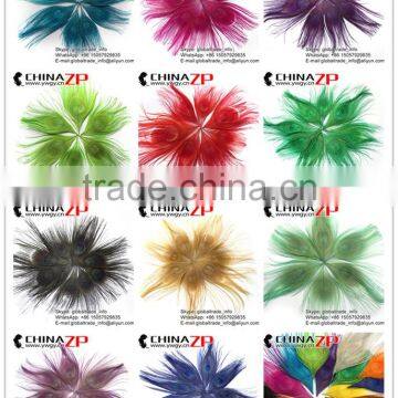 Leading Supplier CHINAZP Wholesale High Quality Dyed Green Trimmed Short Peacock Feathers for Earrings photo-6