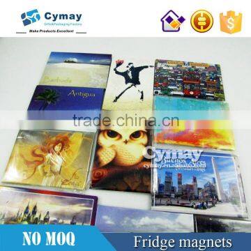 magnet for fridge ,fridge magnet cat