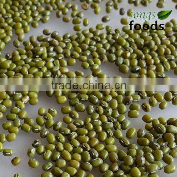 New Crop Green Mung Beans for Sprouting With Competitive Price