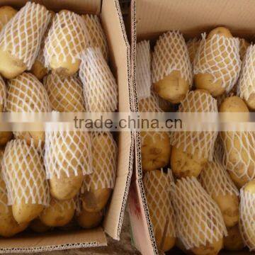 Fresh Potato photo-2