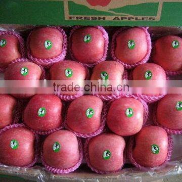 Yantai Fresh fruit red fuji apple best price exporter in china