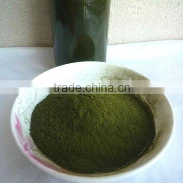 2015 Healthy Vegetable Powder- Organic Barley Grass Powder photo-2