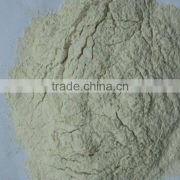 ONION POWDER