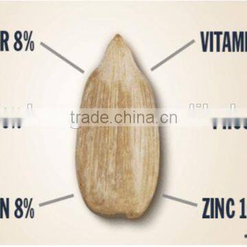 Mogolia raw bulk sunflower kernels for middle east