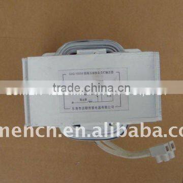 2000W Ballast