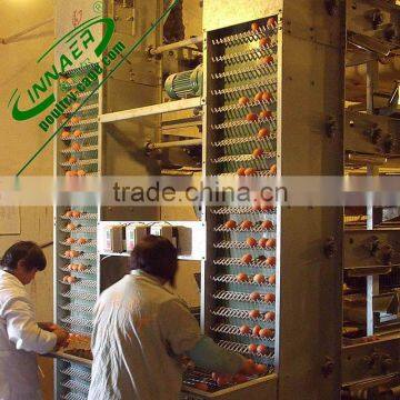 galvanized top grade new arrival chicken cages