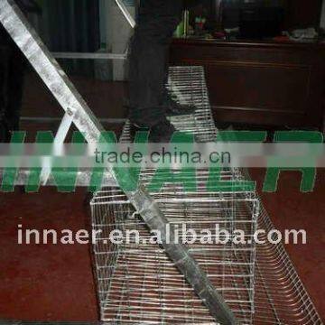 Export Standard Chicken Cage for Poultry Farm