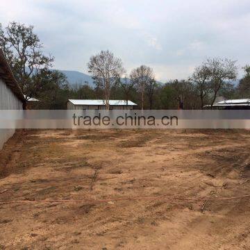 High Quality Charcoal From Laos photo-6