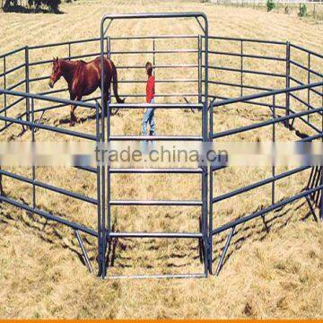 Livestock Handling Equipment for Cattle