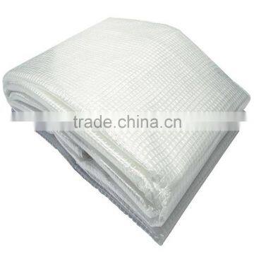 Clear Transparent Greenhouse White Leno Ripstop PE Tarpaulin photo-4