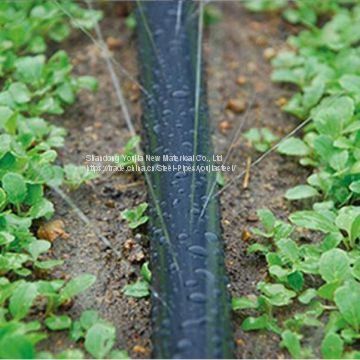 HDPE agricultural sprinkler drip irrigation system / irrigation gardening