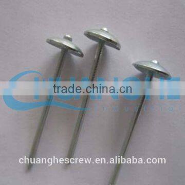 Wire Nails Manufacture in China photo-4