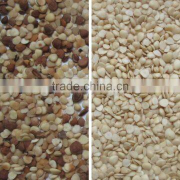 Intelligent CCD Grain Color Sorter photo-2