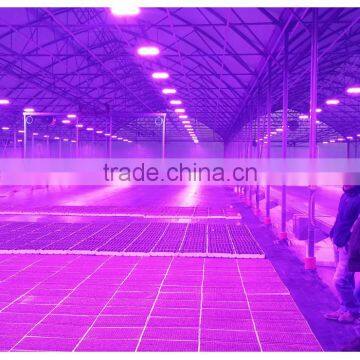 Newest Greenhouse Grow Led Lights 300w,Vegetative 300w Led Grow Lights Grow Panel Grow Lamps photo-2