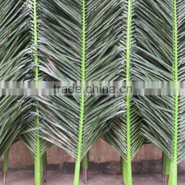 CHY070905 Indoor & outdoor palm tree leaf products