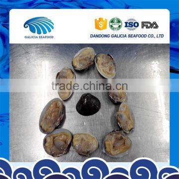 Wild Caught Frozen Baby Clam Half Shell photo-2