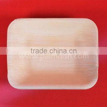 PALM LEAF PLATES