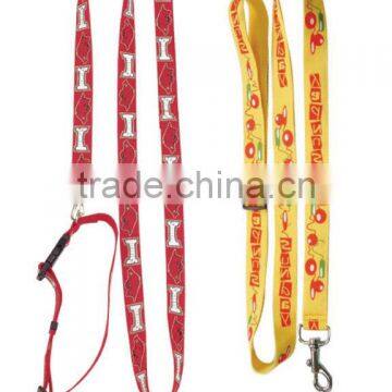 Sample dog leash