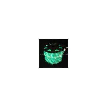 supply CE led rope light